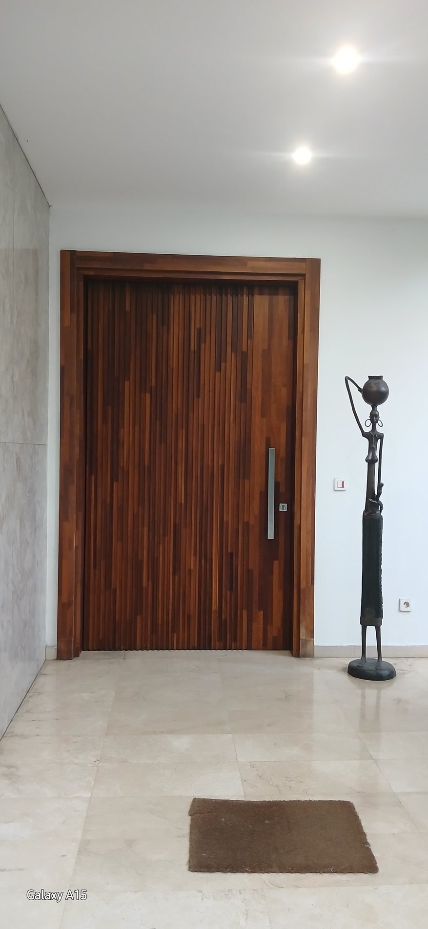 Porte d'entrée en bois sombre